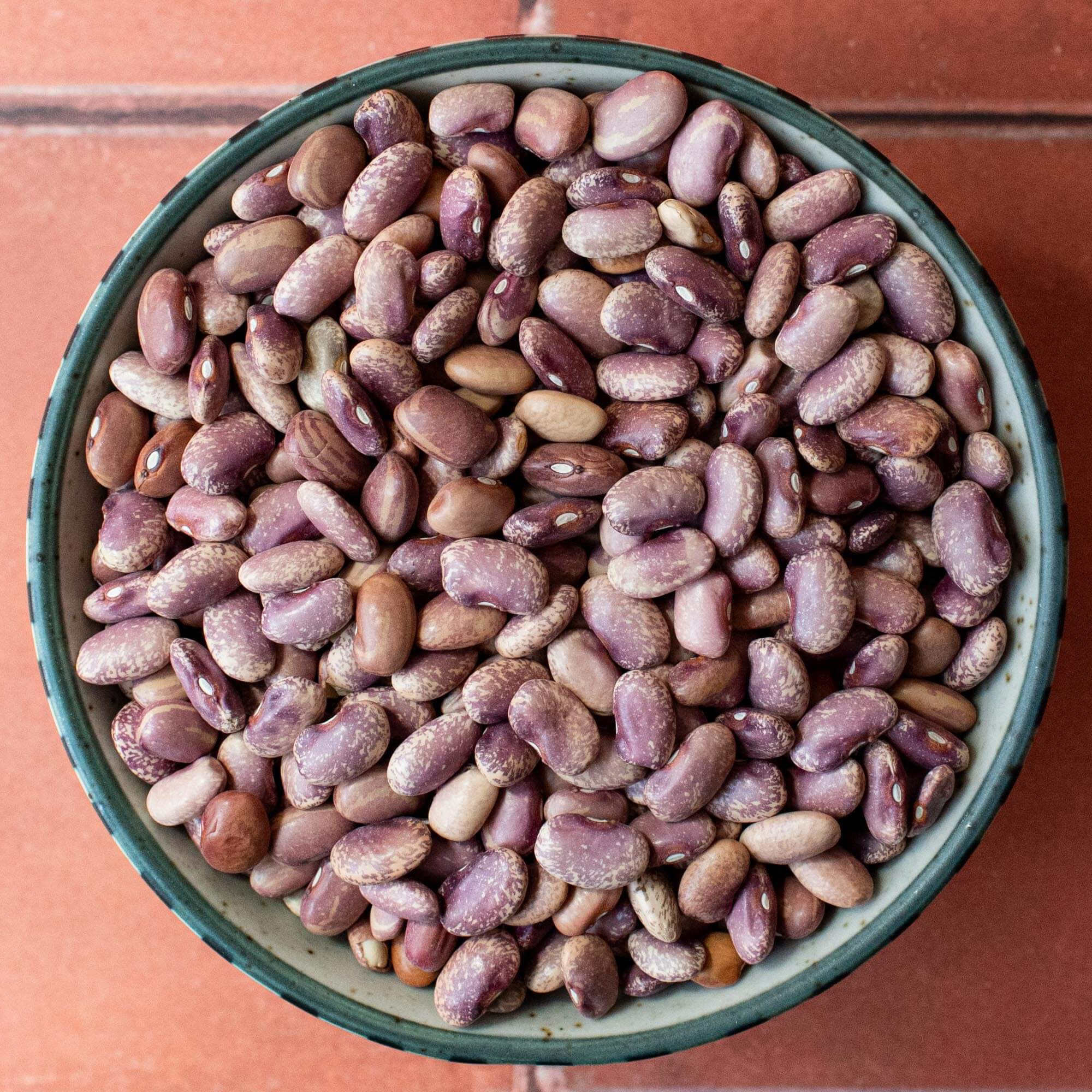 Organic Primary Beans Flor de Mayo beans