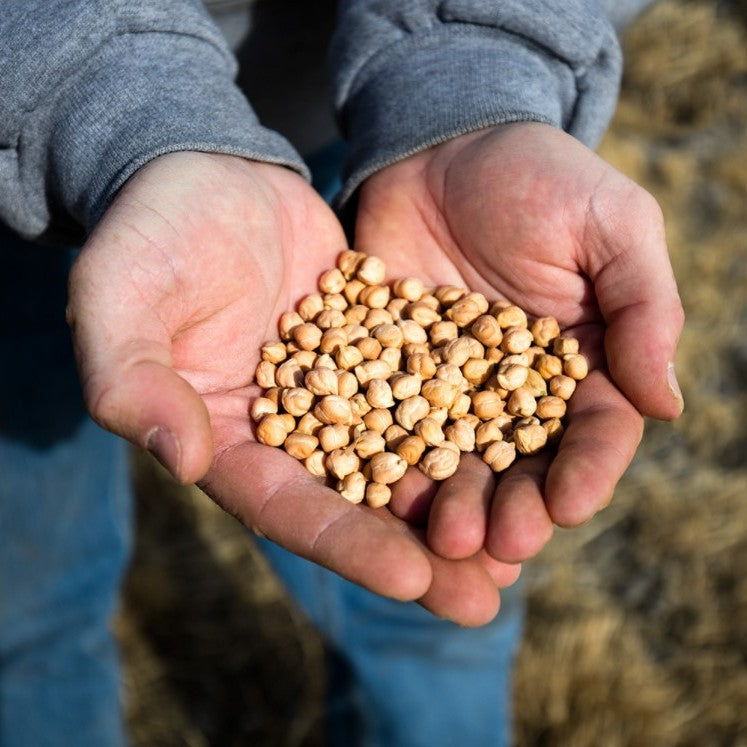Meet the farm behind your favorite chickpeas