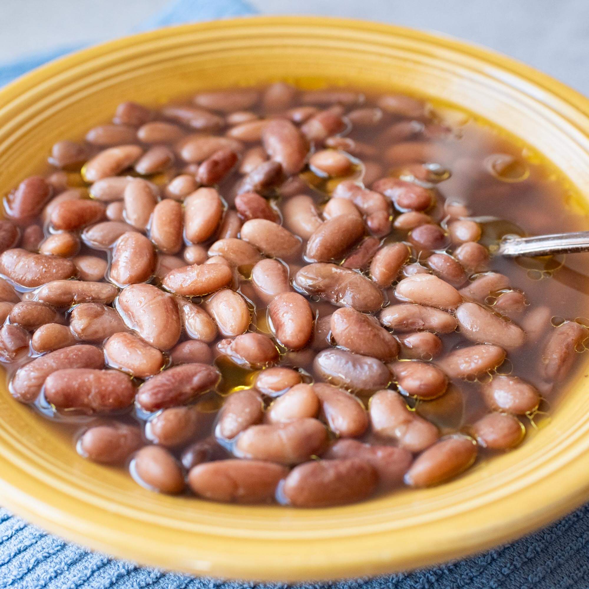Primary Beans brothy Speckled Bayo beans