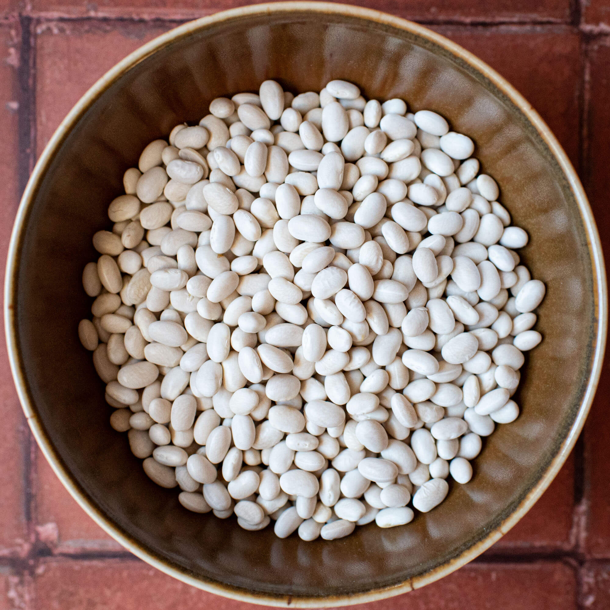 Primary Beans Organic Alubia beans dried