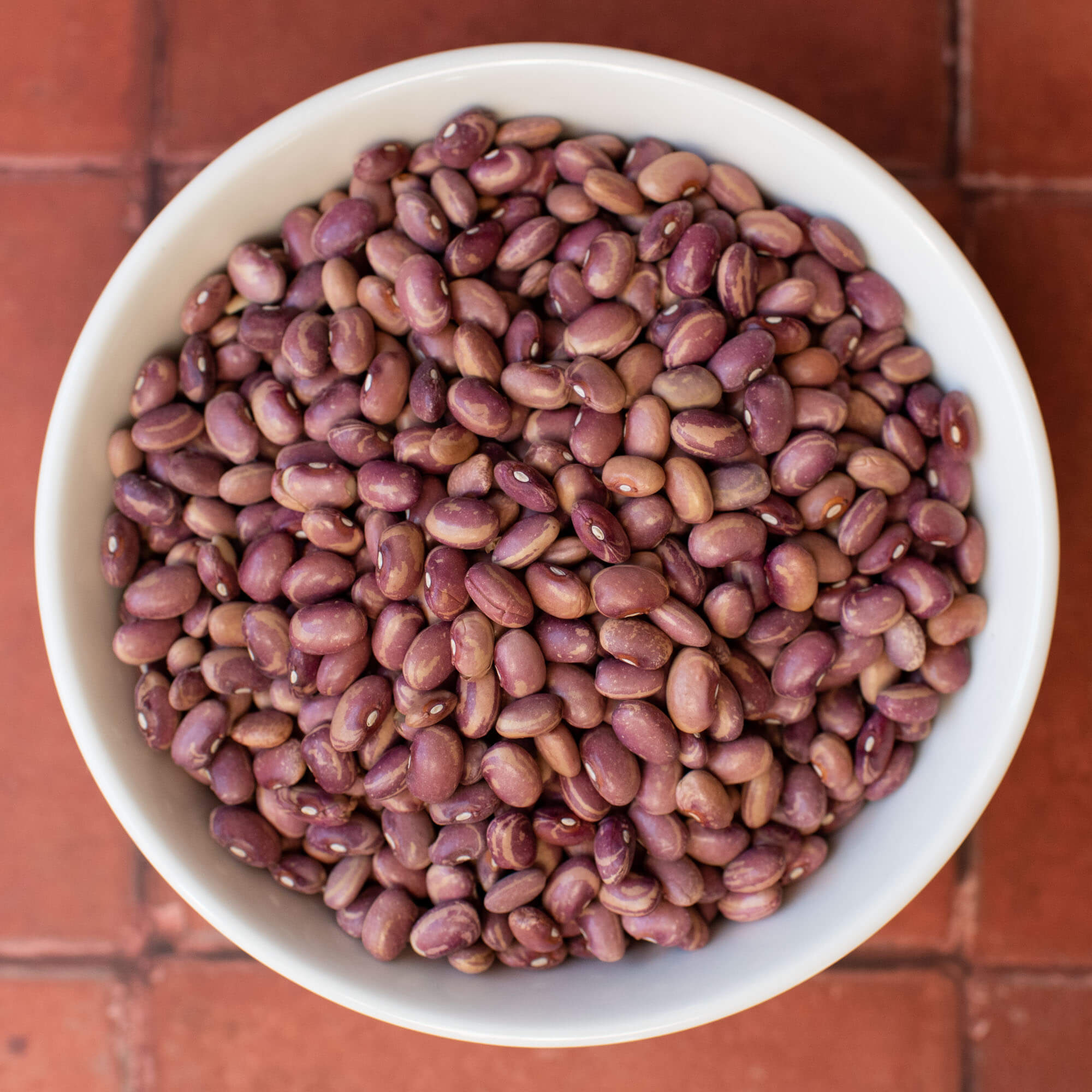 Primary Beans Organic Flor de Junio beans