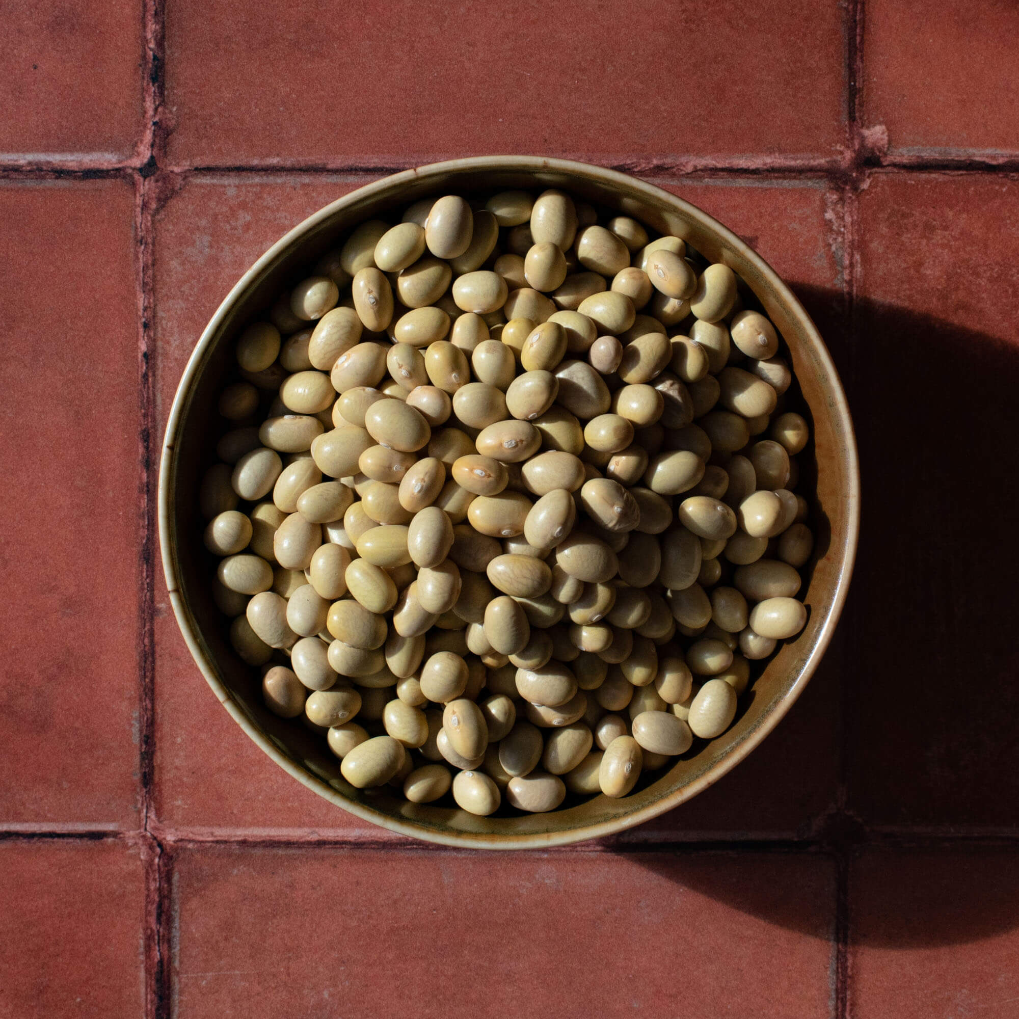 Primary Beans Mayocoba beans