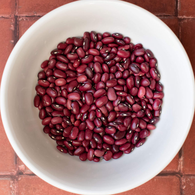 Primary Beans Organic Sangre de Toro beans