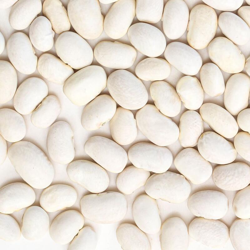 Primary Beans Organic Ayocote Blanco beans